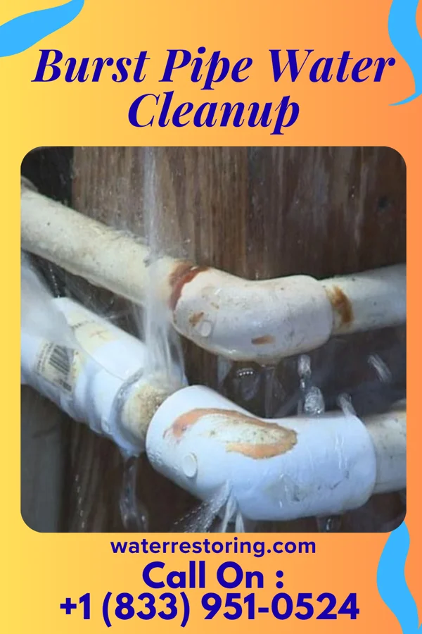 Burst Pipe Water Cleanup in Neola, IA