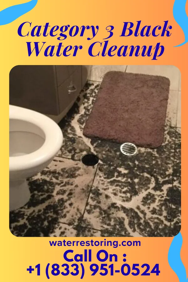 Category 3 Black Water Cleanup in Neola, IA